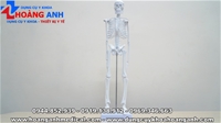 mô hình xương người trưng bày cao 45cm